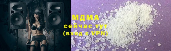 молекула духа Богородицк
