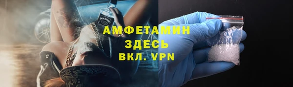 молекула духа Богородицк