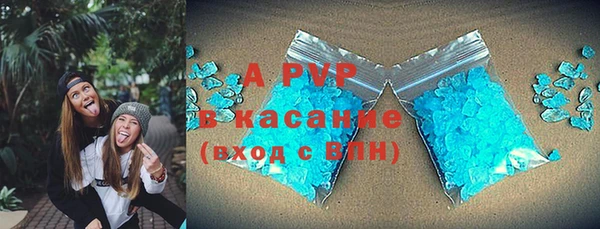 молекула духа Богородицк