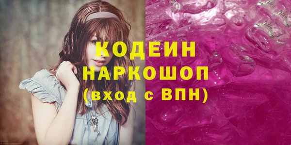 молекула духа Богородицк
