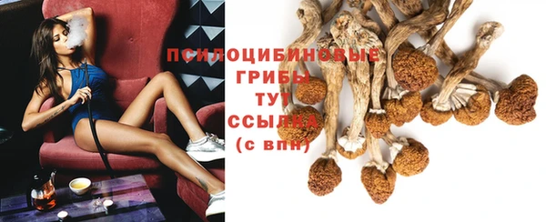 молекула духа Богородицк
